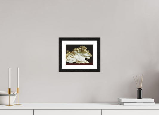 8 x 6″, matte- by Fabian Anatomy II — Fold