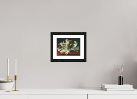 8 x 6″, matte- by Fabian Anatomy VI — Bloom