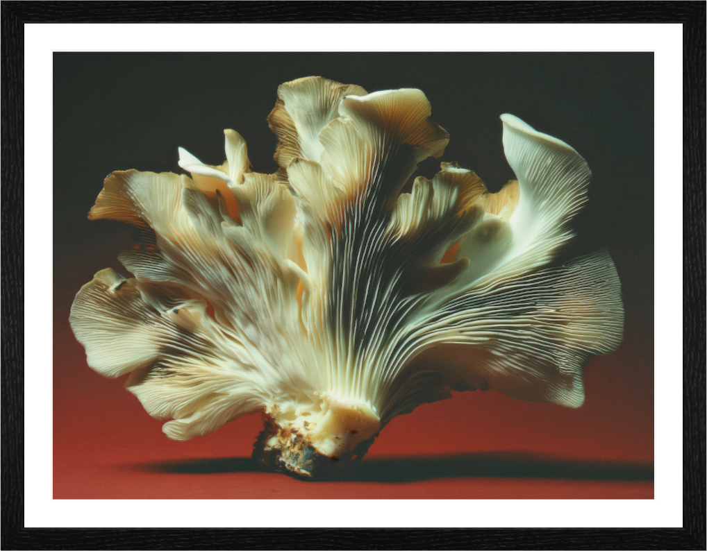 Main image Anatomy VI — Bloom