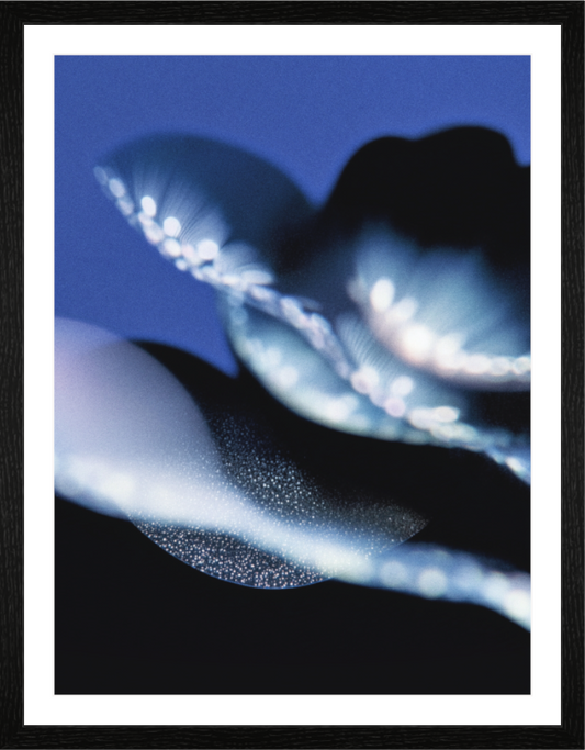 Main image Microscope III — Refraction