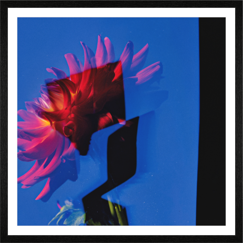 Main image Dahlia II