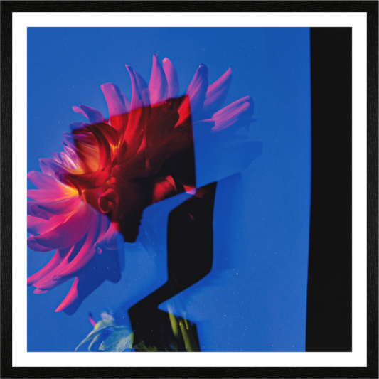 Main image Dahlia II