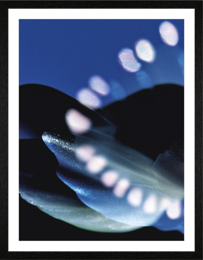 Main image Microscope IV — Bloom