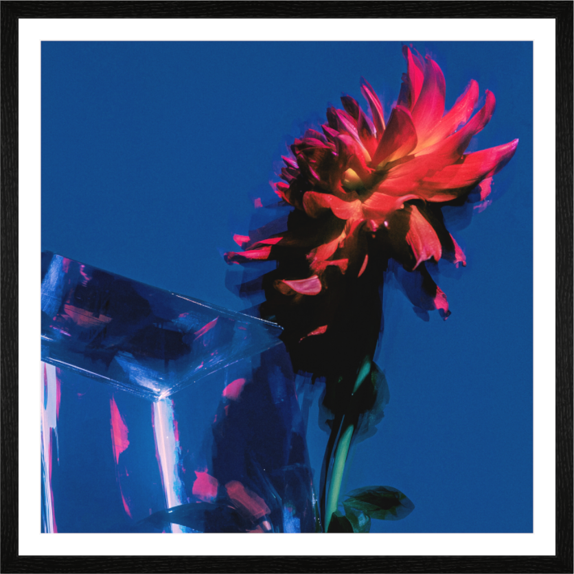 Main image Dahlia III